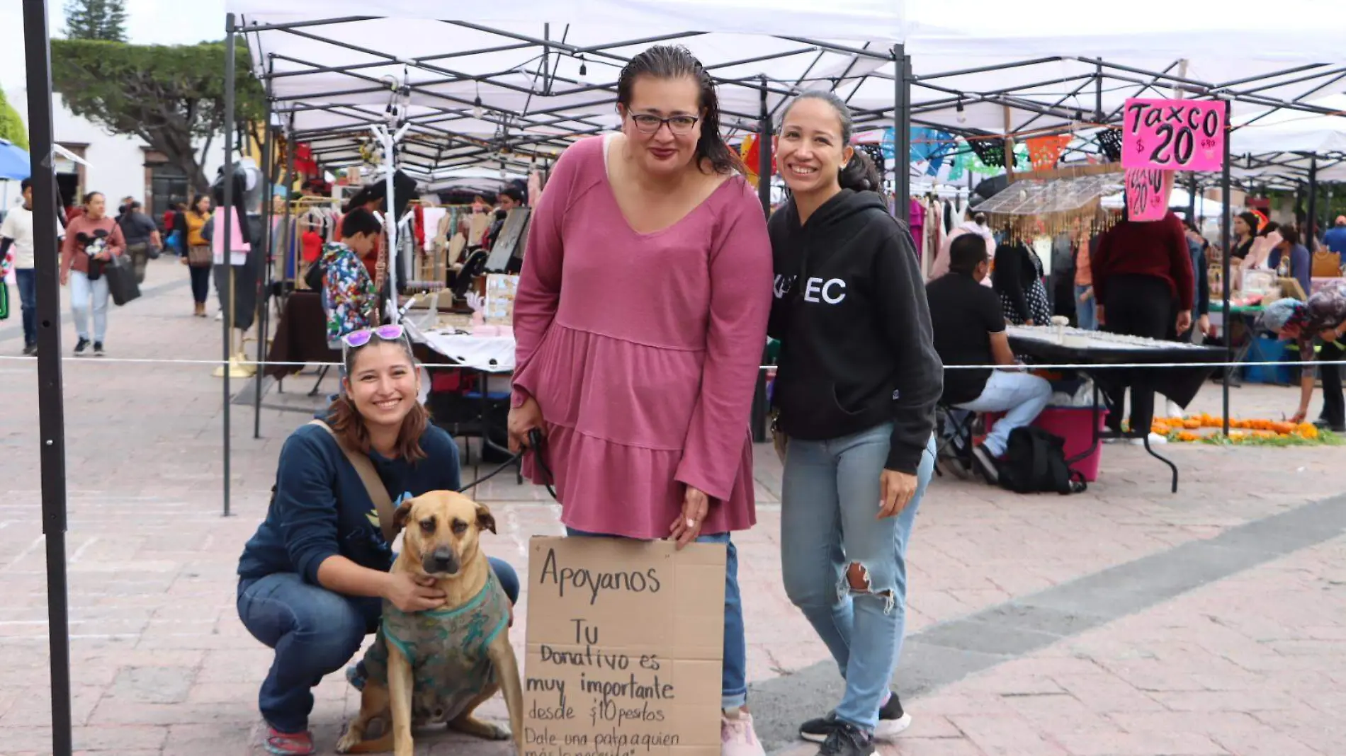 FOTO PRINCIPAL SJR Prepararon el kilometro de estirilizacion